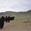 کوهپیمایی بانوان اشتهاردی - بزقلعه 