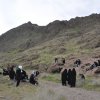 کوهپیمایی بانوان اشتهاردی- بزقلعه 