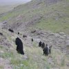 کوهپیمایی بانوان اشتهاردی- بزقلعه 