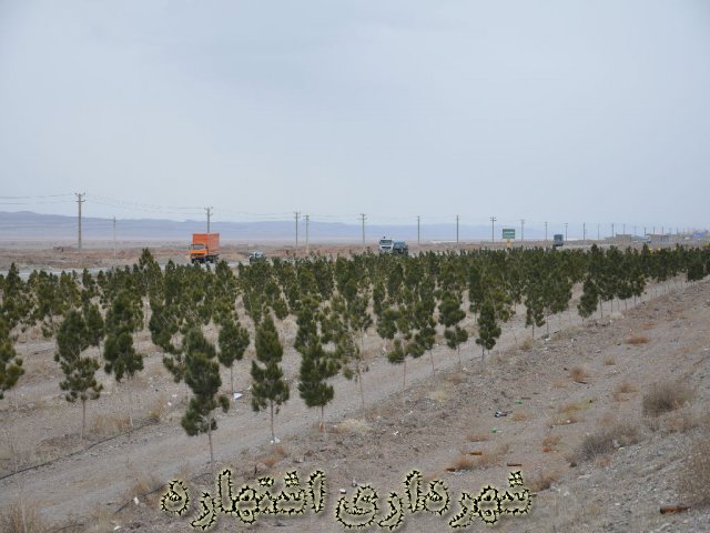 فضای سبز 40 هکتاری