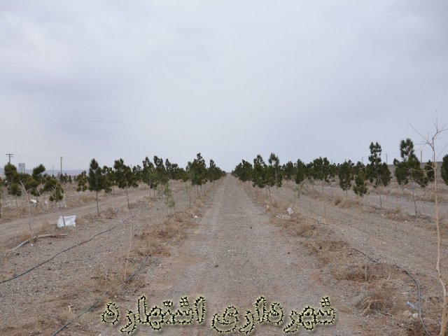 گزارش تصویری بارندگی های مهر و آبان