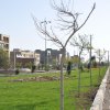 گزارش تصویری بارندگی های مهر و آبان