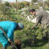 گزارش تصویری بارندگی های مهر و آبان