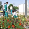 گزارش تصویری بارندگی های مهر و آبان