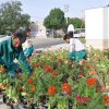 گزارش تصویری بارندگی های مهر و آبان