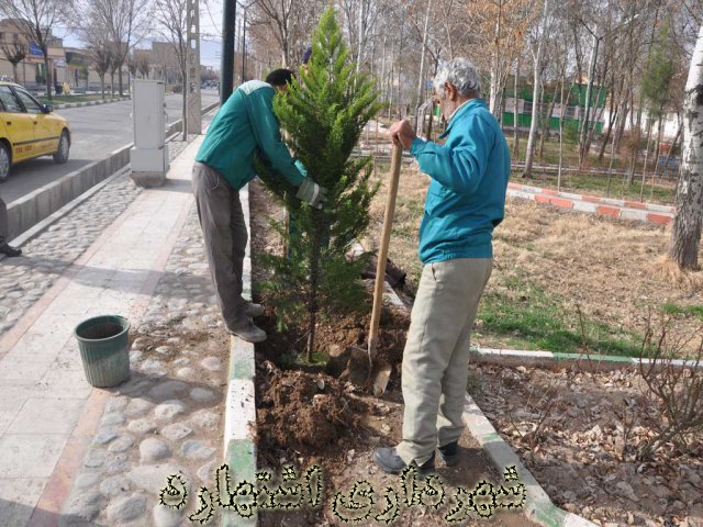 کاشت نهال - پارک شهید چمران