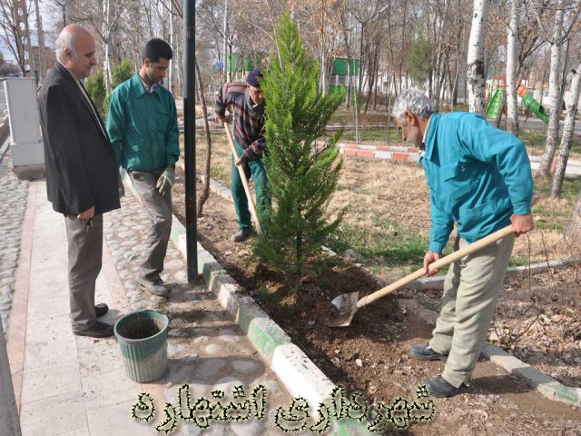 کاشت نهال - پارک شهید چمران