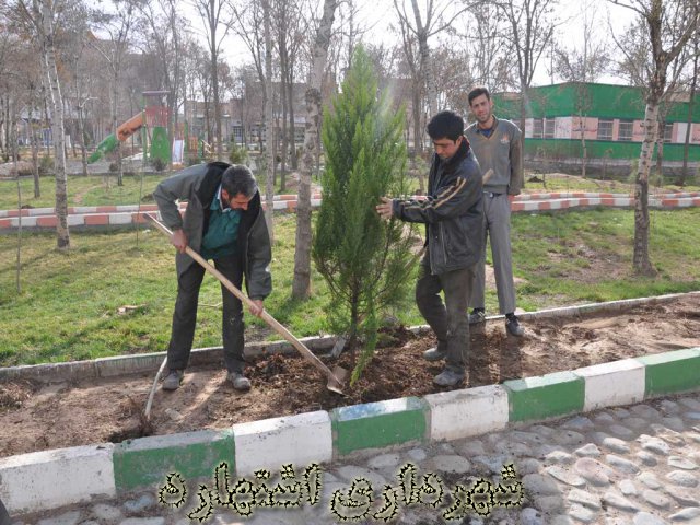 کاشت نهال - پارک شهید چمران