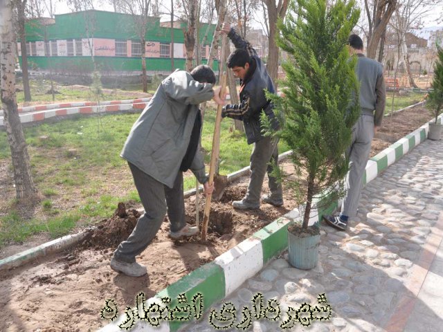 کاشت نهال - پارک شهید چمران