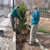 گزارش تصویری بارندگی های مهر و آبان