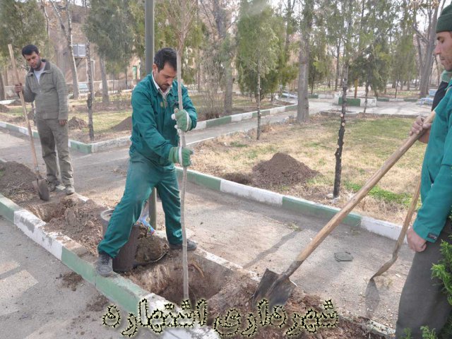 گزارش تصویری بارندگی های مهر و آبان