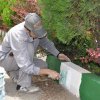 رنگ آمیزی جداول پارک وحدت