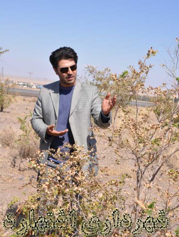کارشناس فضای سبز  