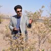کارشناس فضای سبز  