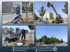 ارتقای روشنایی با نصب تیرهای چراغ برق در بلوار آیت&zwnj; الله ملا احمد شاه&zwnj; بختی شهرک خائف