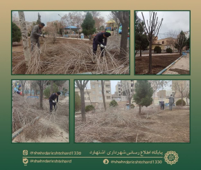 هرس درختان پارک الغدیر