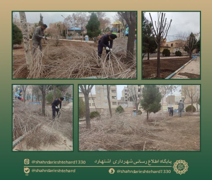 هرس درختان پارک الغدیر