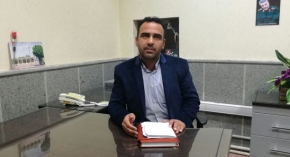 آغاز طرح جمع آوری حیوانات ولگرد